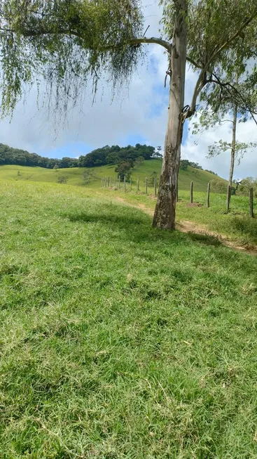 Foto 1 de Fazenda/Sítio à venda, 59m² em Zona Rural, Cristina