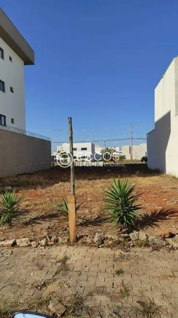 Foto 1 de Lote/Terreno à venda, 300m² em Novo Mundo, Uberlândia