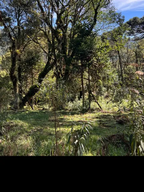 Foto 1 de Lote/Terreno à venda, 20000m² em Urubici, Urubici