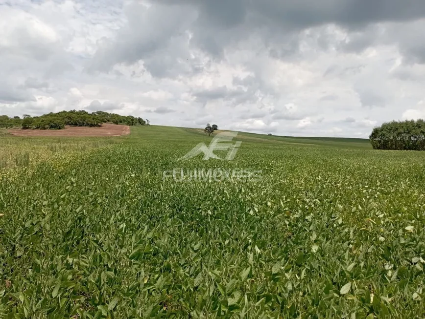 Foto 1 de Fazenda/Sítio à venda, 128300m² em , Floresta