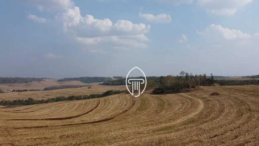 Foto 1 de Fazenda/Sítio à venda, 2057000m² em Rodovia, Sertanópolis