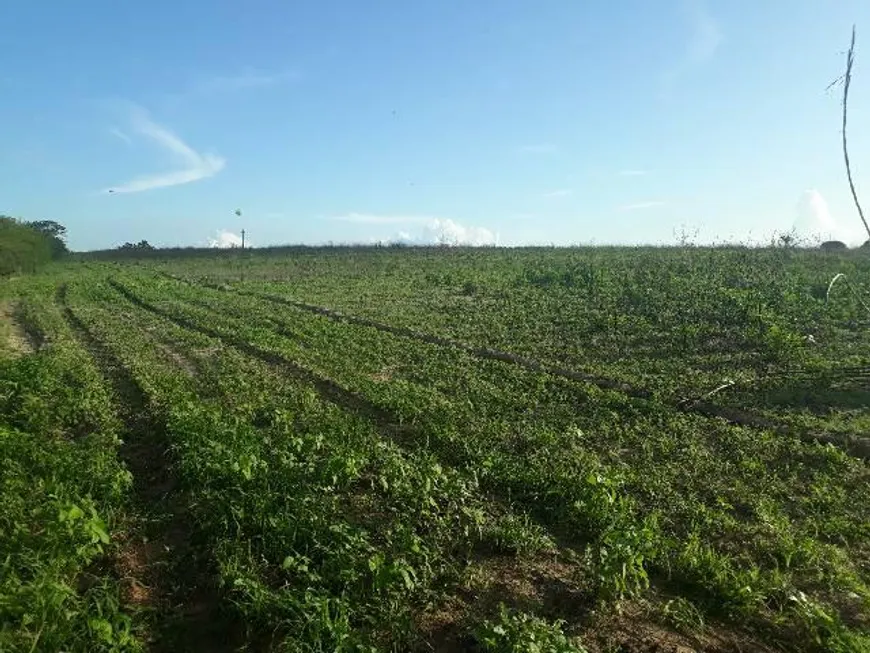 Foto 1 de Fazenda/Sítio com 3 Quartos à venda, 42000m² em Corrego de Sao Mateus, Boa Saúde