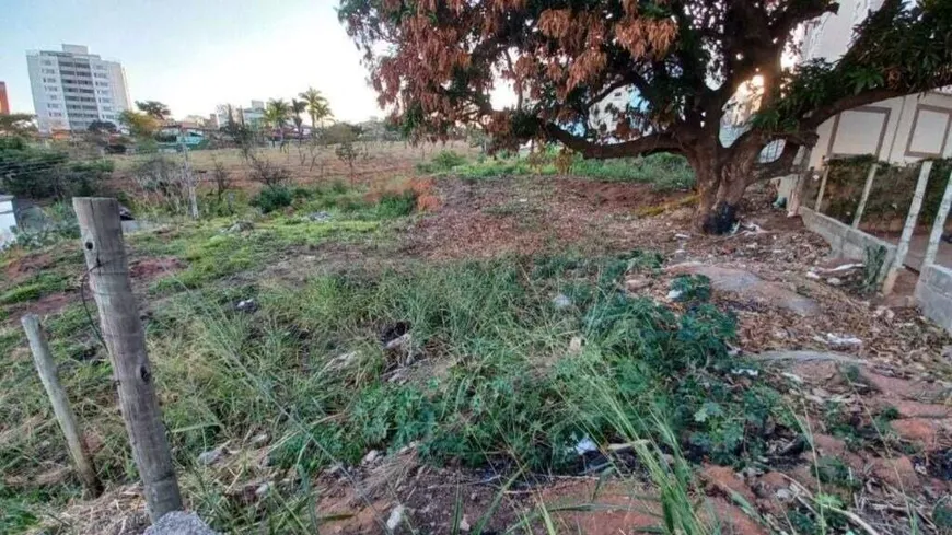 Foto 1 de Lote/Terreno para alugar, 1600m² em Castelo, Belo Horizonte