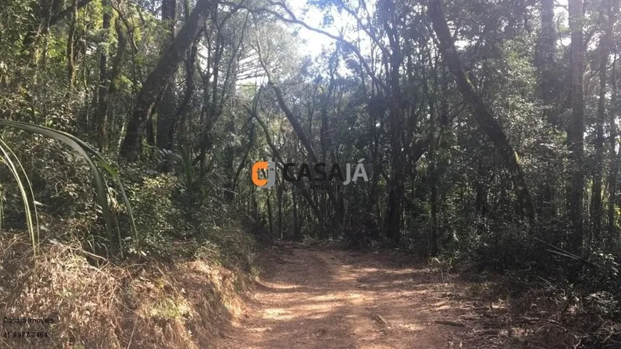 Foto 1 de Fazenda/Sítio com 1 Quarto à venda, 100m² em , Contenda