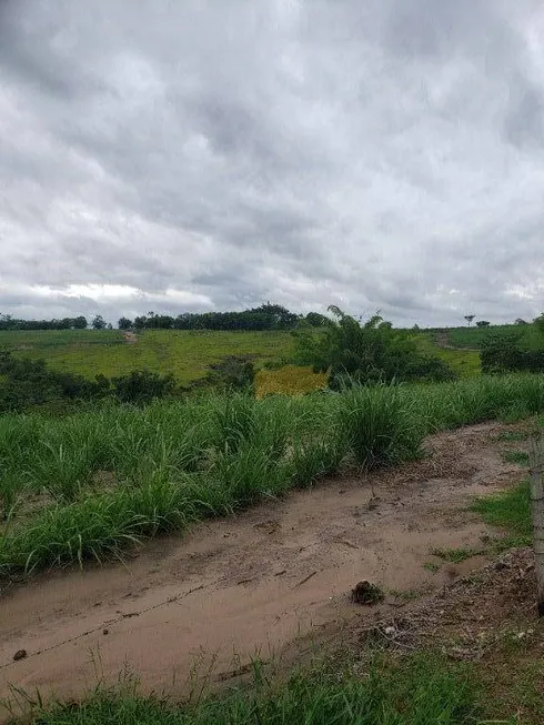 Foto 1 de Fazenda/Sítio à venda, 242000m² em Centro, Ipeúna