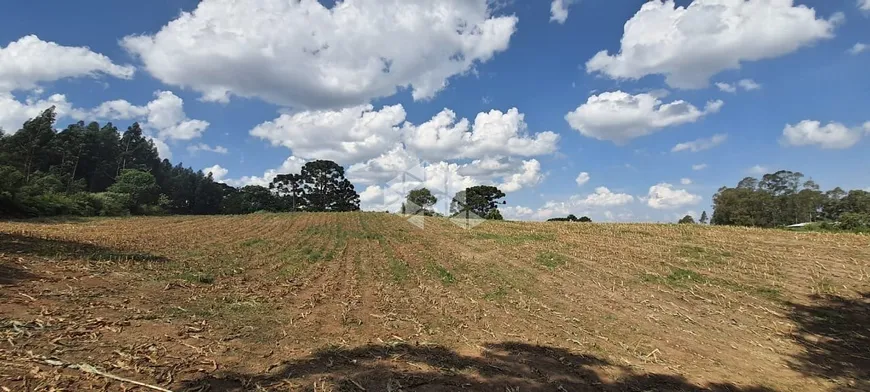 Foto 1 de Lote/Terreno à venda, 10875m² em Forqueta, Caxias do Sul