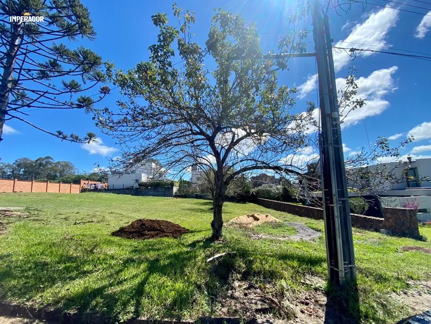 Foto 1 de Lote/Terreno à venda, 1000m² em Nossa Senhora da Saúde, Caxias do Sul