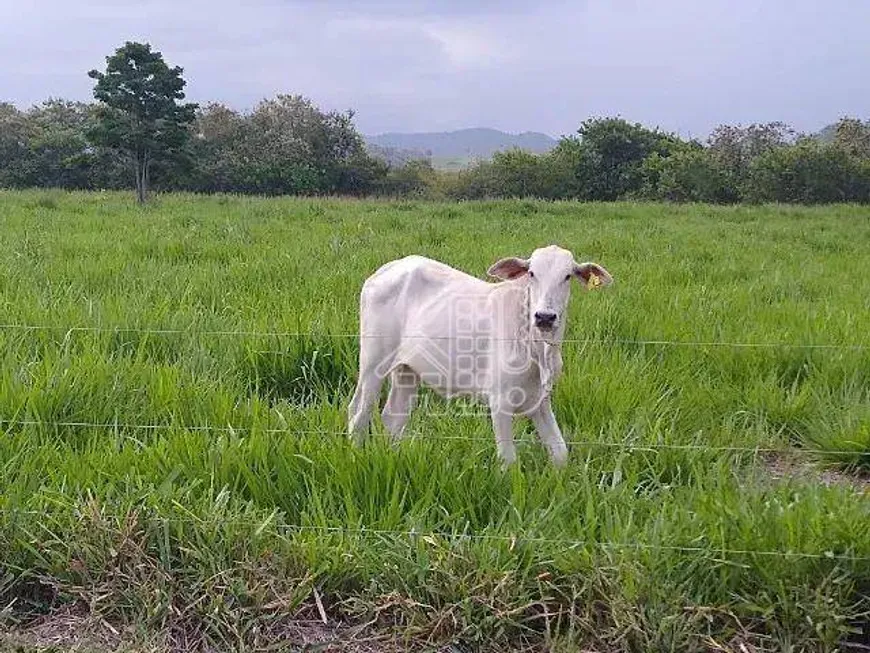 Foto 1 de Fazenda/Sítio com 2 Quartos à venda, 100m² em Mato Alto, Silva Jardim