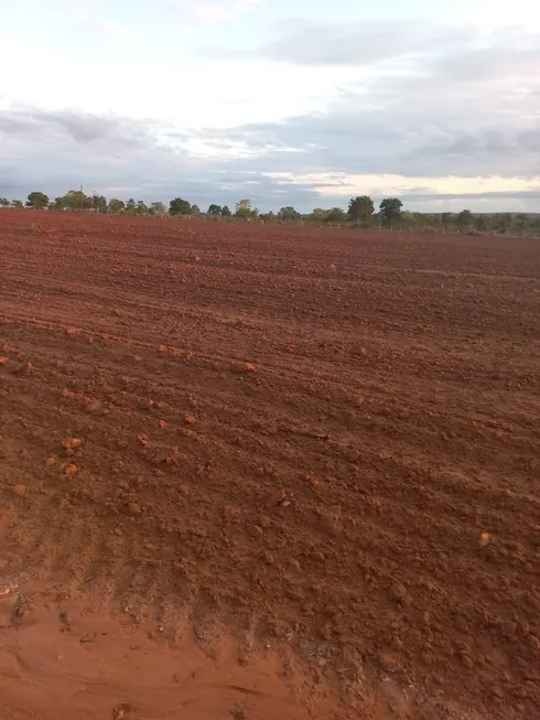 Foto 1 de Fazenda/Sítio com 7 Quartos à venda, 206m² em , Pontal do Araguaia