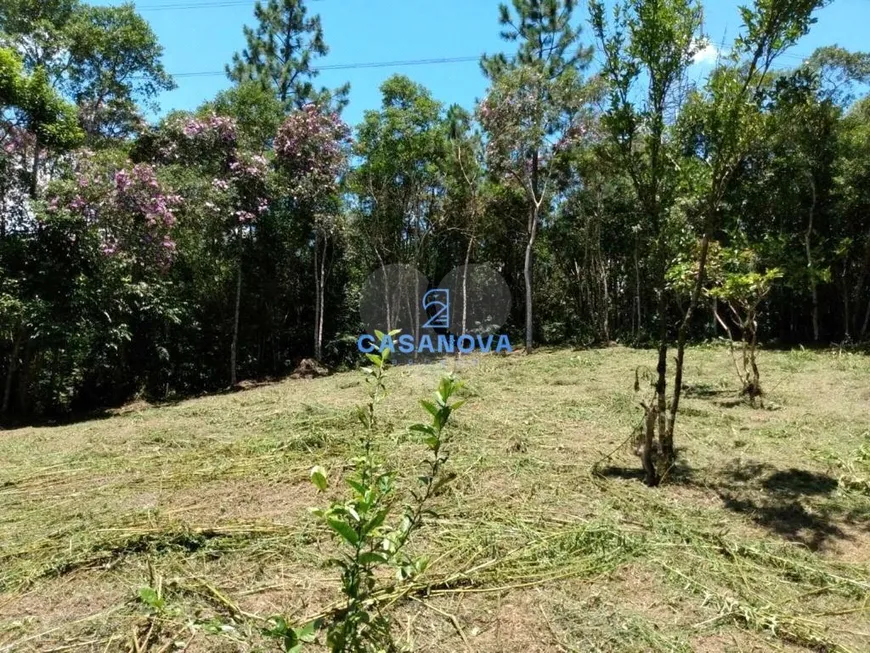 Foto 1 de Lote/Terreno à venda, 5185m² em Curucutu, São Bernardo do Campo