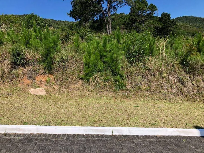 Foto 1 de Lote/Terreno à venda, 450m² em Itacorubi, Florianópolis