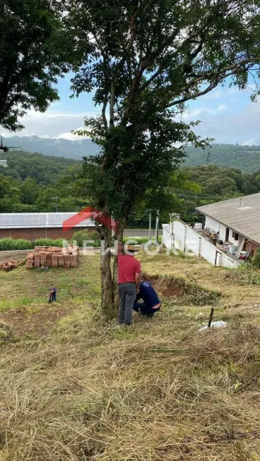 Foto 1 de Lote/Terreno à venda, 1800m² em Varzea Grande, Gramado