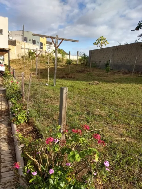 Foto 1 de Lote/Terreno à venda, 493m² em Morro Santana, Porto Alegre