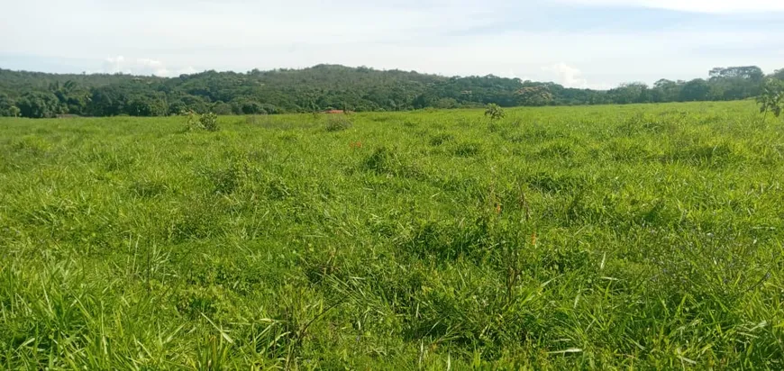 Foto 1 de Fazenda/Sítio com 2 Quartos à venda, 1333000m² em Area Rural de Brazlandia, Brasília