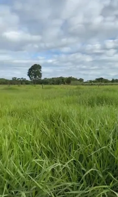 Foto 1 de Fazenda/Sítio com 3 Quartos à venda em Zona Rural, Varjão