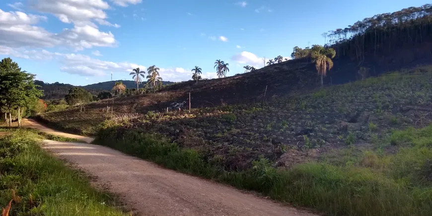 Foto 1 de Fazenda/Sítio à venda, 21000m² em Capivara, Almirante Tamandaré