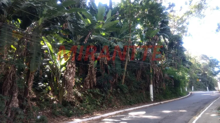 Foto 1 de Lote/Terreno à venda, 5m² em Vila Albertina, São Paulo