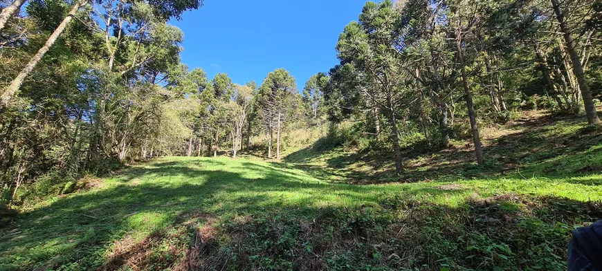 Foto 1 de Fazenda/Sítio à venda, 448000m² em Pedra Branca, Alfredo Wagner