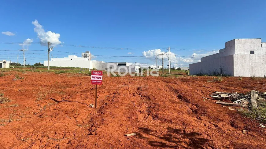 Foto 1 de Lote/Terreno à venda, 250m² em Loteamento Portal do Vale II, Uberlândia