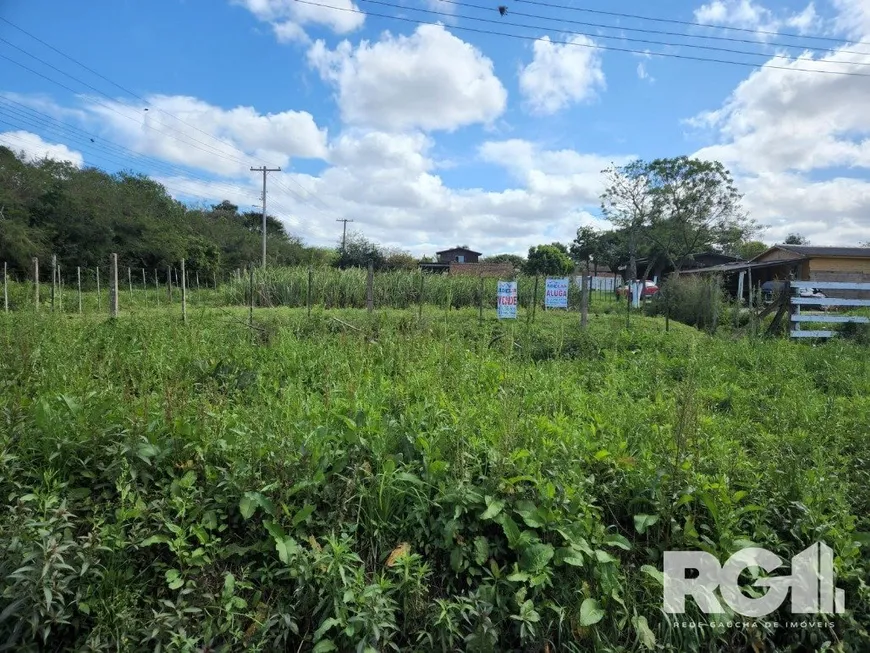 Foto 1 de Lote/Terreno à venda, 1275m² em Lageado, Porto Alegre