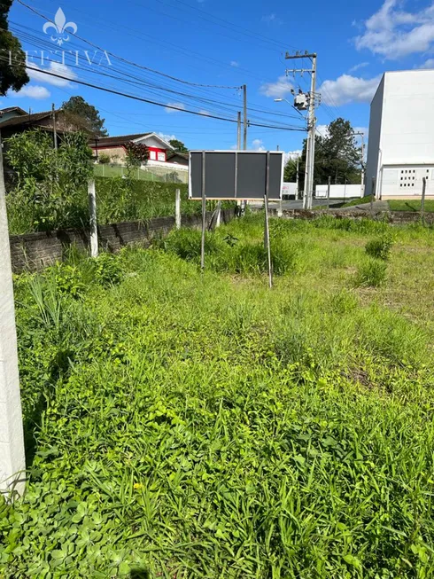 Foto 1 de Lote/Terreno à venda, 240m² em Itoupava Norte, Blumenau