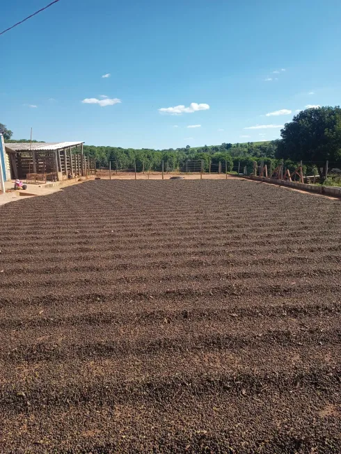 Foto 1 de Fazenda/Sítio com 3 Quartos à venda, 128260m² em Zona Rural, Monte Santo de Minas