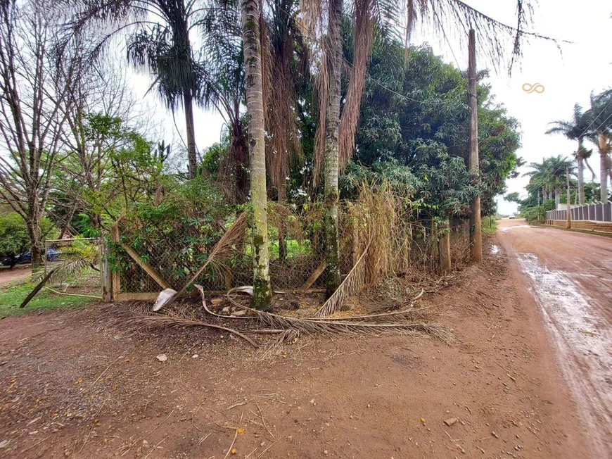 Foto 1 de Fazenda/Sítio à venda, 180m² em , Holambra