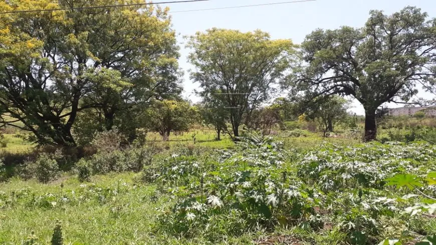 Foto 1 de Lote/Terreno à venda, 53440m² em Residencial Parque Colina Verde, Bauru