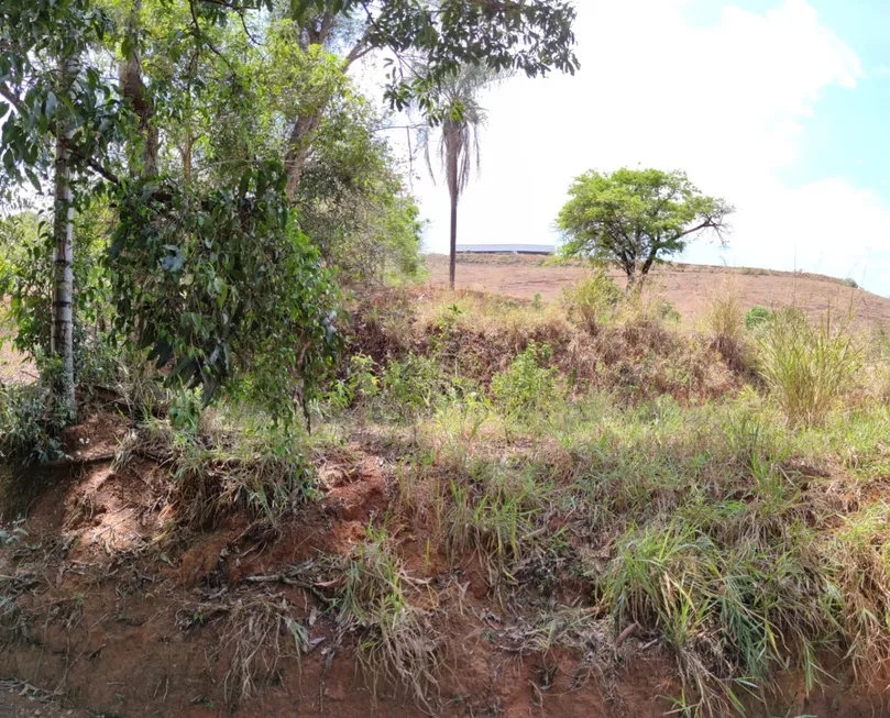 Foto 1 de Lote/Terreno à venda, 18757m² em Nova Suica, Ponte Nova