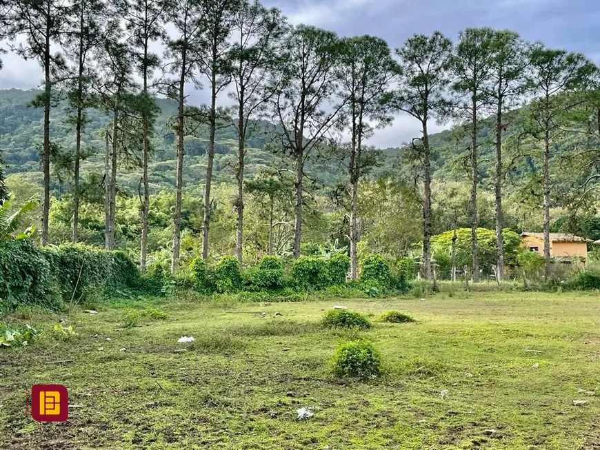 Foto 1 de Lote/Terreno à venda, 1m² em Rio Tavares, Florianópolis