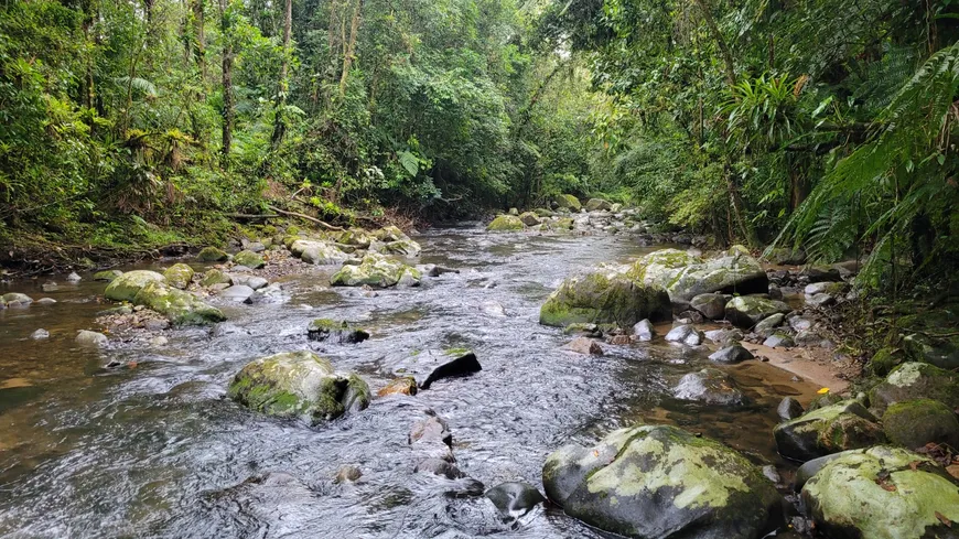 Foto 1 de Fazenda/Sítio à venda, 24200m² em Zona Rural, Guaraqueçaba