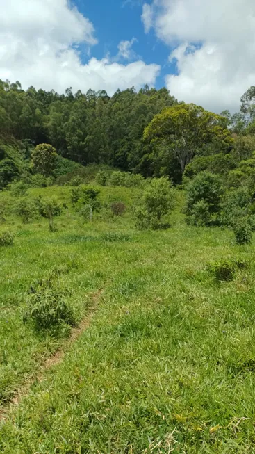 Foto 1 de Fazenda/Sítio à venda em Zona Rural, Cristina