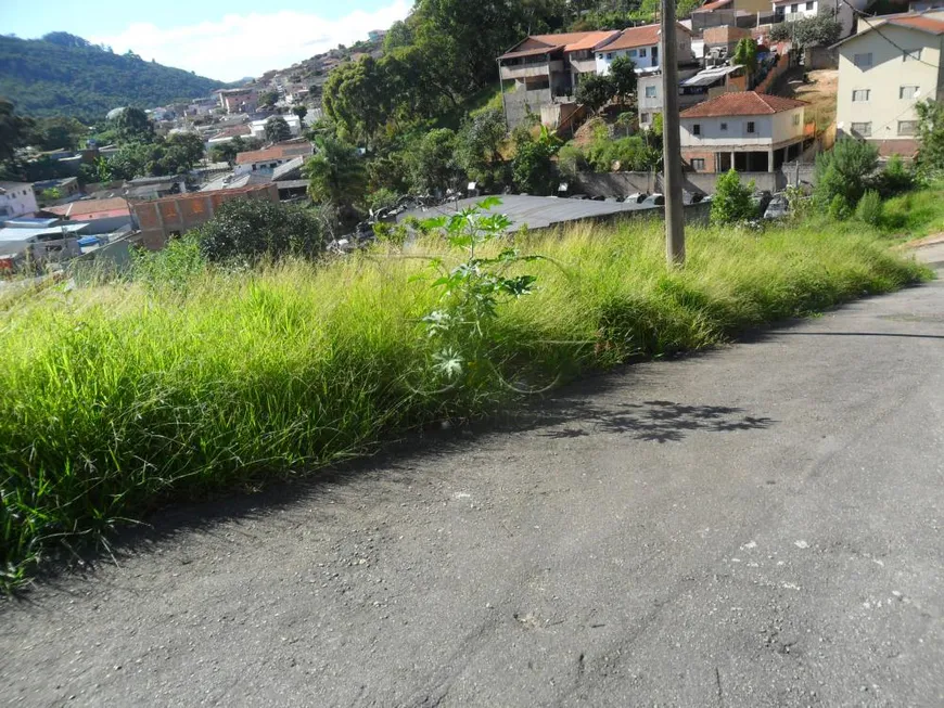 Foto 1 de Lote/Terreno à venda, 374m² em Boa Esperanca, Poços de Caldas