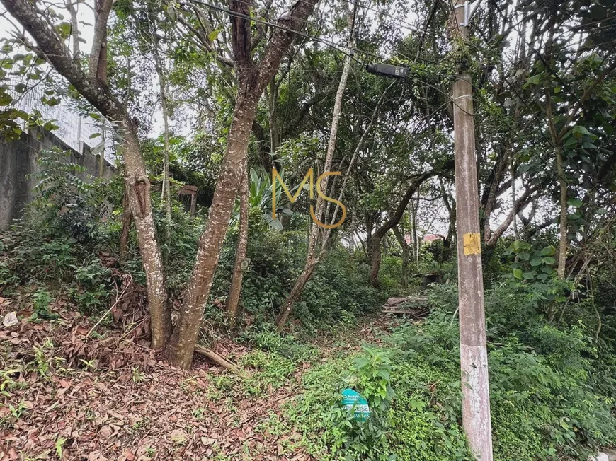 Foto 1 de Lote/Terreno à venda, 2005m² em Chácara das Candeias, Carapicuíba