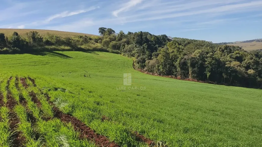 Foto 1 de Fazenda/Sítio com 1 Quarto à venda, 5m² em Guaravera, Londrina