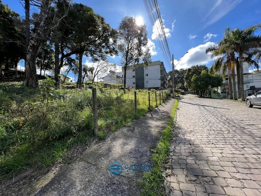 Foto 1 de Lote/Terreno à venda, 39m² em Petrópolis, Caxias do Sul