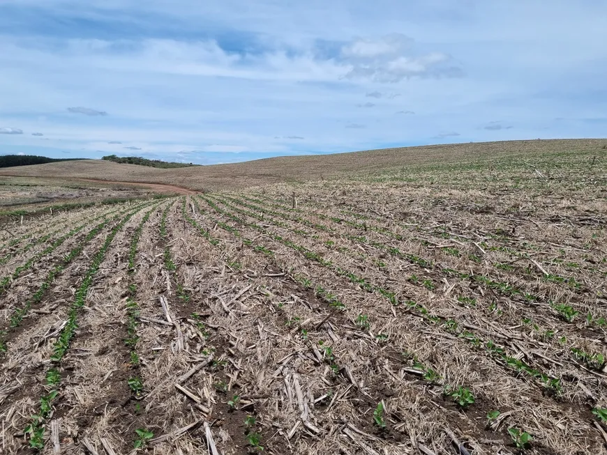 Foto 1 de Fazenda/Sítio com 1 Quarto à venda, 4000000m² em Centro, Lages