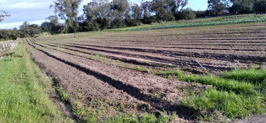 Foto 1 de Fazenda/Sítio à venda, 47228599m² em Belém Novo, Porto Alegre