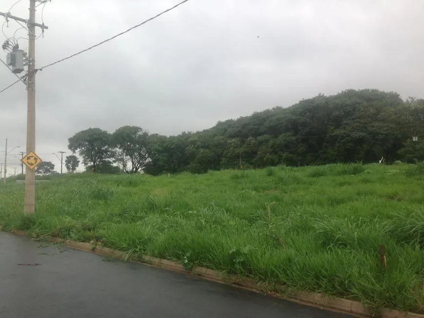 Foto 1 de Lote/Terreno à venda, 336m² em Jardim Pau Brasil, Americana