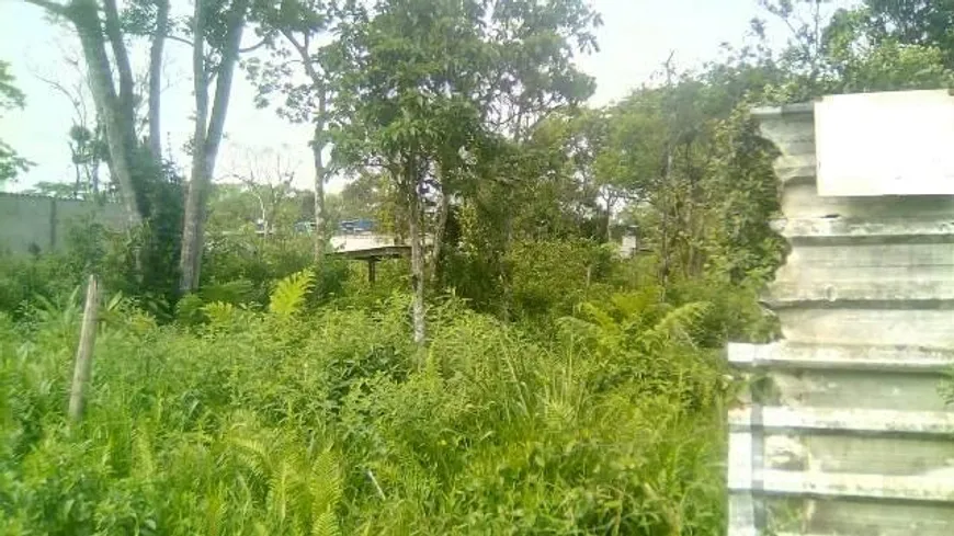 Foto 1 de Lote/Terreno à venda, 250m² em Sitio Velho, Itanhaém