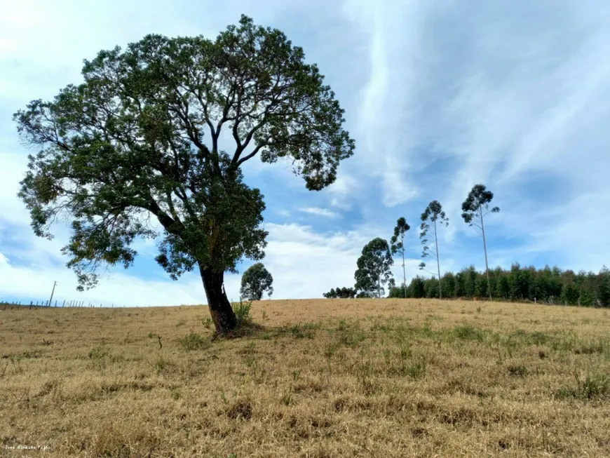 Foto 1 de Lote/Terreno à venda, 24000m² em Centro, Senador Amaral