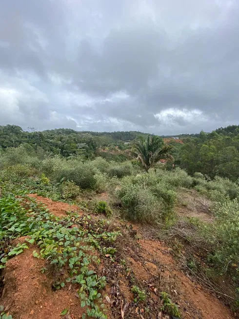 Foto 1 de Fazenda/Sítio à venda, 300000m² em Zona Rural, Santa Teresa