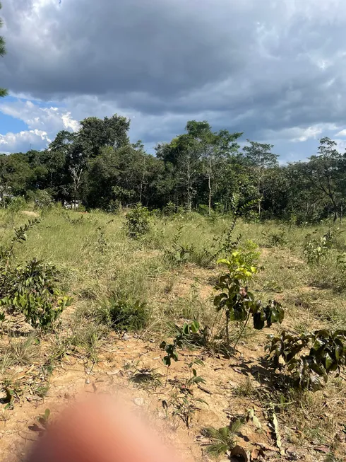 Foto 1 de Fazenda/Sítio à venda, 10000m² em , Cocalzinho de Goiás