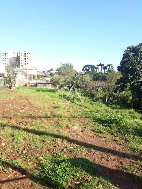 Foto 1 de Lote/Terreno à venda, 500m² em Vila Cruzeiro, Passo Fundo