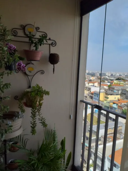 Foto 1 de Apartamento com 3 Quartos à venda, 63m² em Chácara Belenzinho, São Paulo