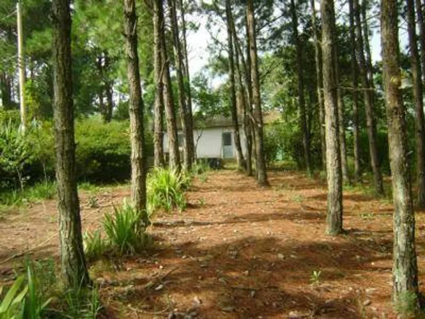 Foto 1 de Fazenda/Sítio com 1 Quarto à venda, 51500m² em Pavão-Canguera, São Roque