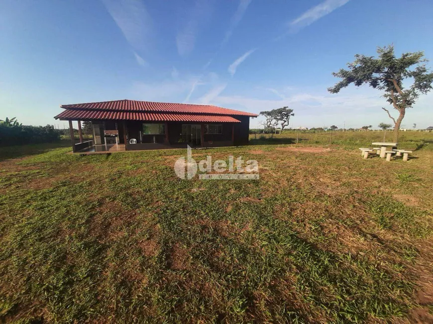 Foto 1 de Fazenda/Sítio com 4 Quartos à venda, 135m² em Area Rural de Uberlandia, Uberlândia