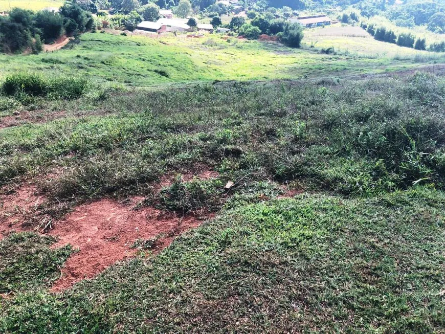 Foto 1 de Lote/Terreno à venda, 45000m² em Nova Viçosa, Viçosa