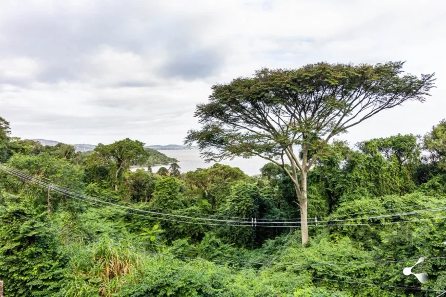 Foto 1 de Lote/Terreno à venda, 1235m² em Setimo Ceu, Porto Alegre