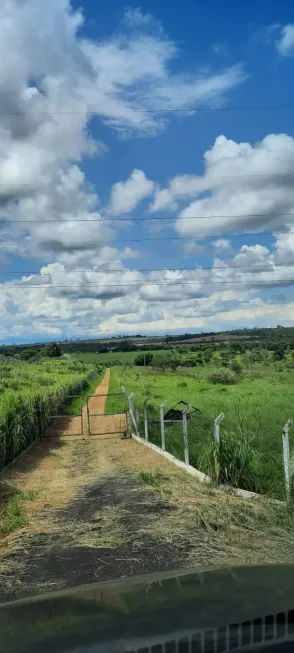 Foto 1 de Fazenda/Sítio com 4 Quartos à venda, 200m² em Area Rural de Uberlandia, Uberlândia